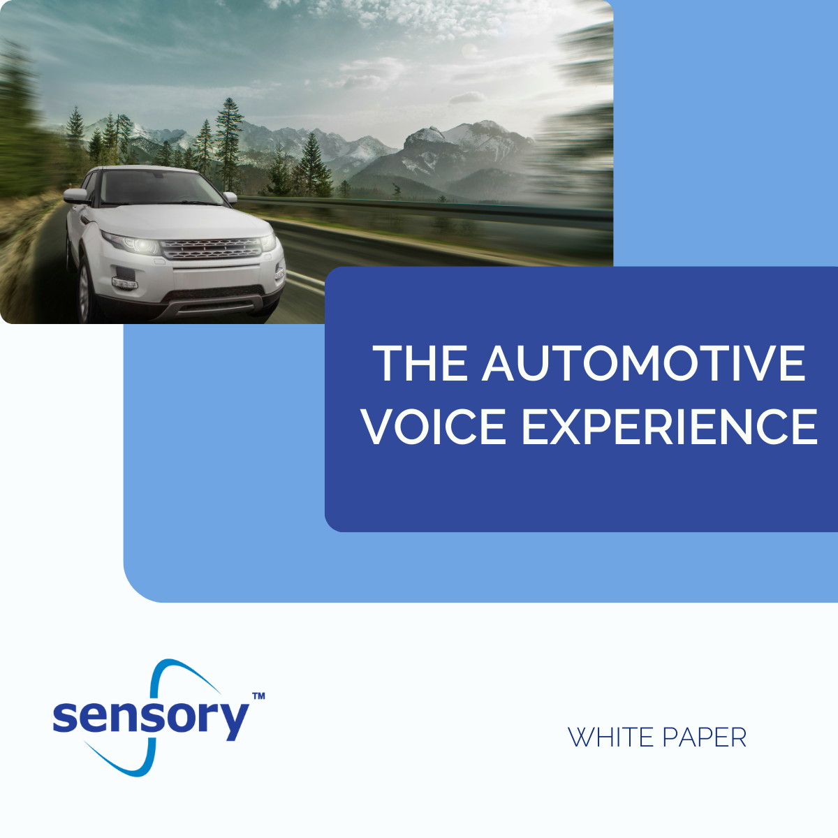 Autovoiceexperience_(LinkedIn Post)