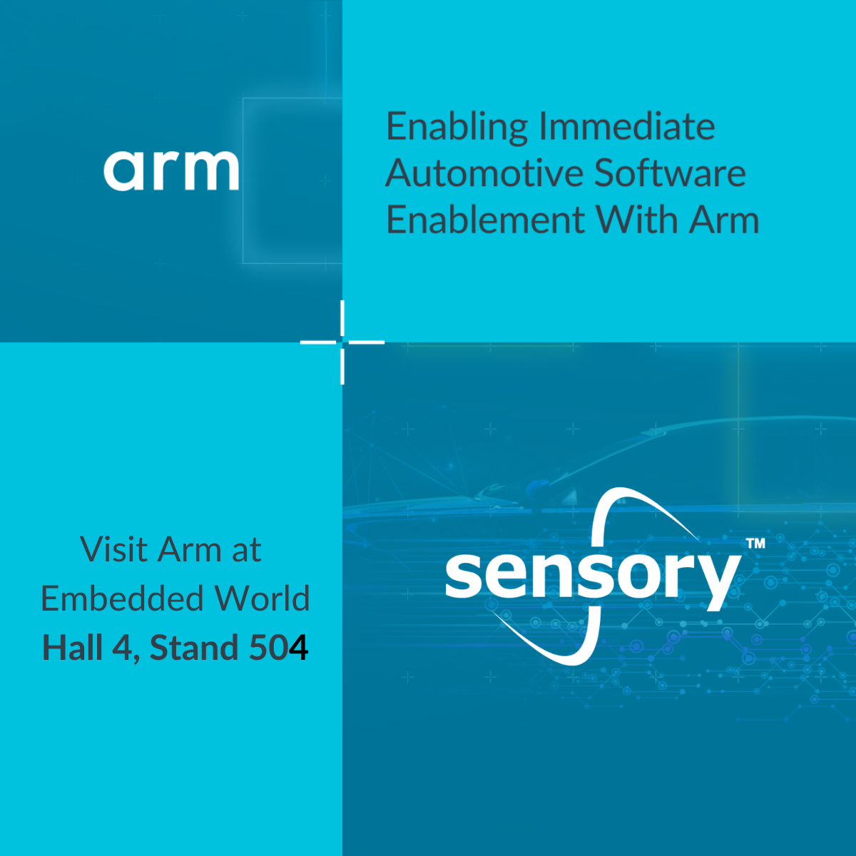 Arm & Sensory-1